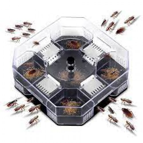 zamka za bube i zohare